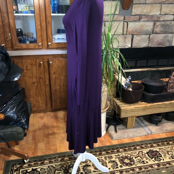 REBORN J SIZE SMALL PURPLE LING SLEEVE RAYON/SPANDEX DRESS POCKETS ON FRONT - Picture 2 of 4